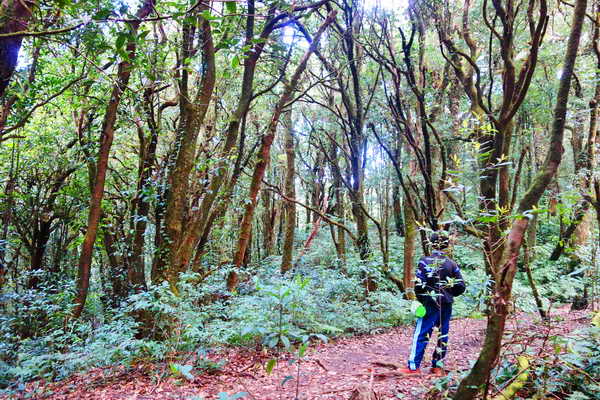 kiew mae pan doi inthanon