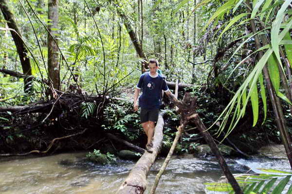 chiang mai trek 