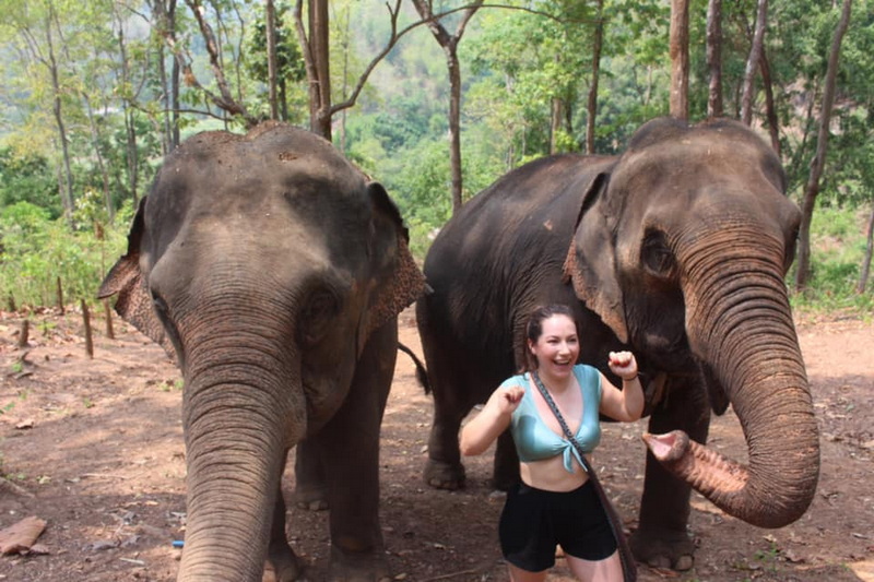 hug elephant chiang mai, elephant sanctuary camp, elephant care camp