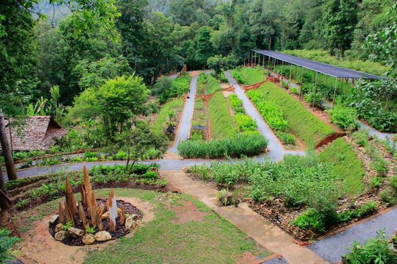 botanic garden, queen sirikit botanic garden, botanic garden chiang mai, chiang mai garden, garden in chiang mai