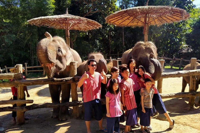 mae rim elephant home, maerim elephant home, mae rim elephant camp, maerim elephant camp, maerim elephant chiang mai, mae rim elephant chiang mai