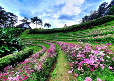 huai nam dang national park, huai nam dung national park, huay nam dang national park, huay nam dung national park, huai nam dang, huay nam dang
