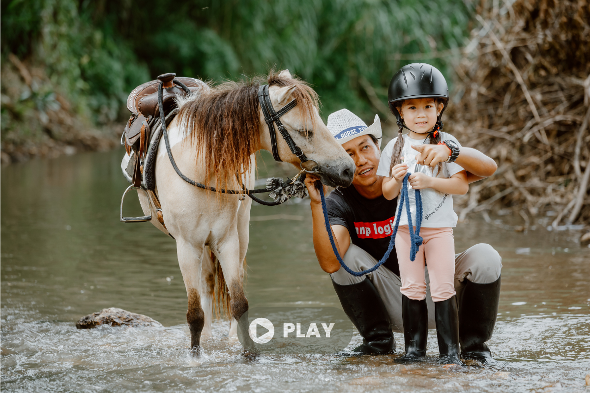 chiang mai horse riding, chiang mai horseback riding, chiang mai horse riding tour, chiang mai horseback riding tour, chiang mai horse riding adventure, chiang mai horseback riding adventure