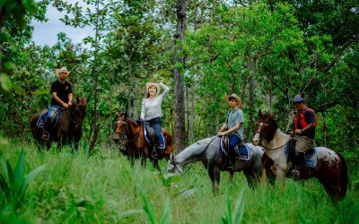 Chiang Mai Horse Riding