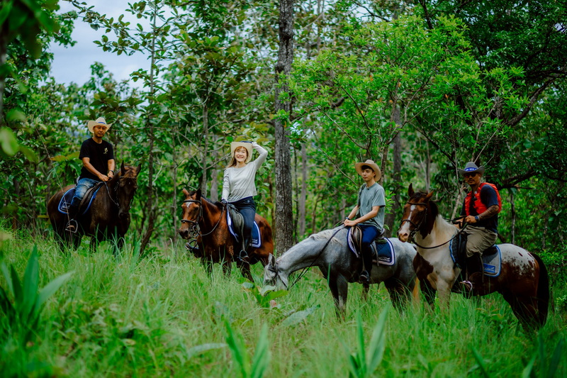 chiang mai horse riding, chiang mai horseback riding, chiang mai horse riding tour, chiang mai horseback riding tour, chiang mai horse riding adventure, chiang mai horseback riding adventure