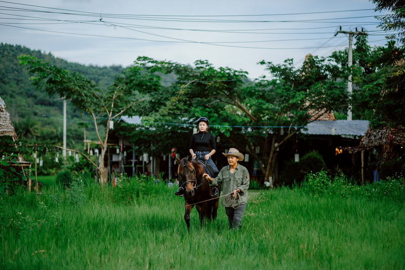 chiang mai horse riding, chiang mai horseback riding, chiang mai horse riding tour, chiang mai horseback riding tour, chiang mai horse riding adventure, chiang mai horseback riding adventure