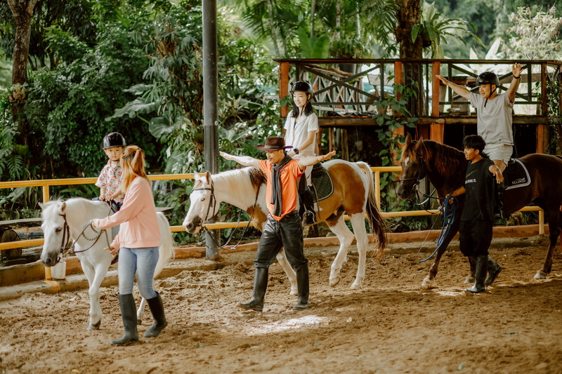 chiang mai horse riding, chiang mai horseback riding, chiang mai horse riding tour, chiang mai horseback riding tour, chiang mai horse riding adventure, chiang mai horseback riding adventure