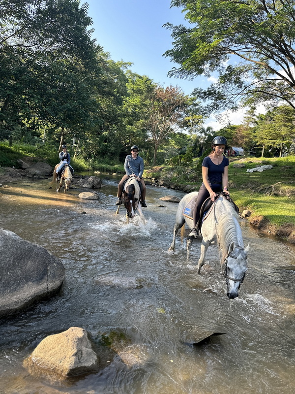 chiang mai horse riding, chiang mai horseback riding, chiang mai horse riding tour, chiang mai horseback riding tour, chiang mai horse riding adventure, chiang mai horseback riding adventure