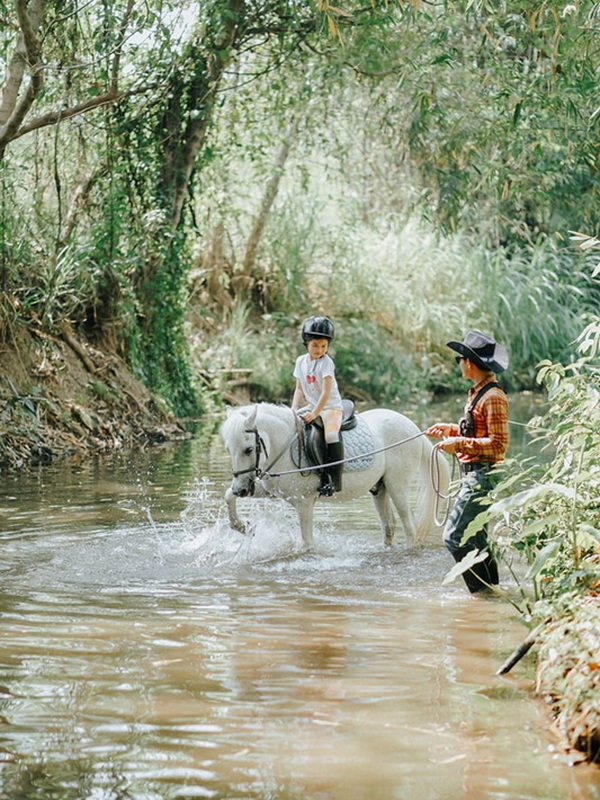 chiang mai horse riding, chiang mai horseback riding, chiang mai horse riding tour, chiang mai horseback riding tour, chiang mai horse riding adventure, chiang mai horseback riding adventure