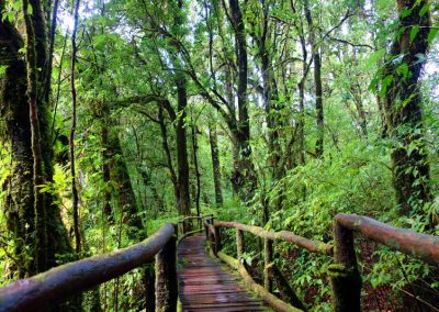 tour doi Inthanon, tour doi Inthanon national park, day tour doi Inthanon national park, budget tour doi Inthanon national park, day tour doi Inthanon, budget tour doi Inthanon, join with group tour doi Inthanon, join with group tour doi Inthanon national park