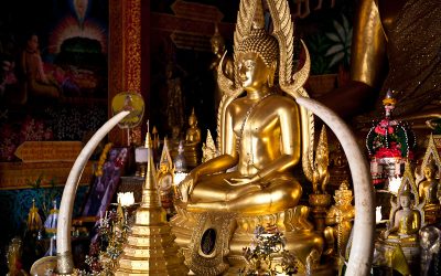 Budget Tour01: Doi Suthep Tour