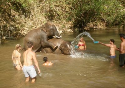 one day trek mae wang, day trek mae wang, one day terk maewang and elephant care, one day terk mae wang and elephant care, trek mae wang, trekking in mae wang