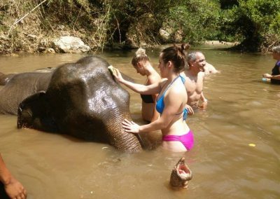 one day trek mae wang, day trek mae wang, one day terk maewang and elephant care, one day terk mae wang and elephant care, trek mae wang, trekking in mae wang