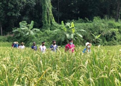 one day trek mae wang, day trek mae wang, one day terk maewang and elephant care, one day terk mae wang and elephant care, trek mae wang, trekking in mae wang