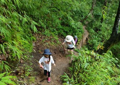 one day trek mae wang, day trek mae wang, one day terk maewang and elephant care, one day terk mae wang and elephant care, trek mae wang, trekking in mae wang