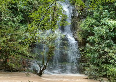 one day trek mae wang, day trek mae wang, one day terk maewang and elephant care, one day terk mae wang and elephant care, trek mae wang, trekking in mae wang