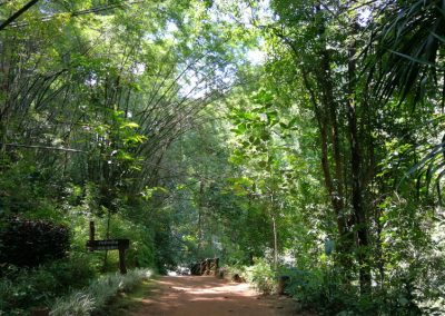 chae son national park, chaeson national park, chae son, chaeson, chae son forest park, chaeson forest park