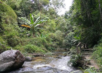 chae son national park, chaeson national park, chae son, chaeson, chae son forest park, chaeson forest park