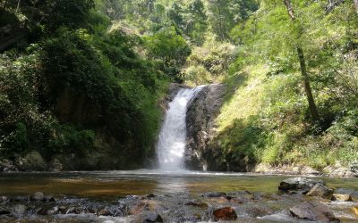 Chae Son National Park