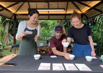 chiang mai coffee farm tour, coffee farm tour in chiang mai, chiangmai coffee farm tour, tour coffee farm chiang mai