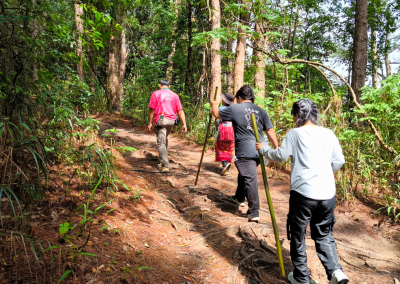 elephant observation and hiking doi inthanon, elephant observation and trekking doi inthanon, elephant observation and doi inthanon hike, elephant observation and doi inthanon trek, elephant surveying and doi inthanon hiking, doi inthanon hiking, doi inthanon trekking