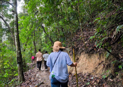 elephant observation and hiking doi inthanon, elephant observation and trekking doi inthanon, elephant observation and doi inthanon hike, elephant observation and doi inthanon trek, elephant surveying and doi inthanon hiking, doi inthanon hiking, doi inthanon trekking