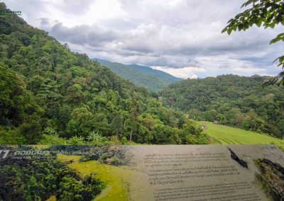 elephant observation and hiking doi inthanon, elephant observation and trekking doi inthanon, elephant observation and doi inthanon hike, elephant observation and doi inthanon trek, elephant surveying and doi inthanon hiking, doi inthanon hiking, doi inthanon trekking