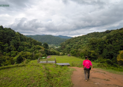 elephant observation and hiking doi inthanon, elephant observation and trekking doi inthanon, elephant observation and doi inthanon hike, elephant observation and doi inthanon trek, elephant surveying and doi inthanon hiking, doi inthanon hiking, doi inthanon trekking