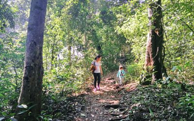 Pha Dok Siew Nature Trail