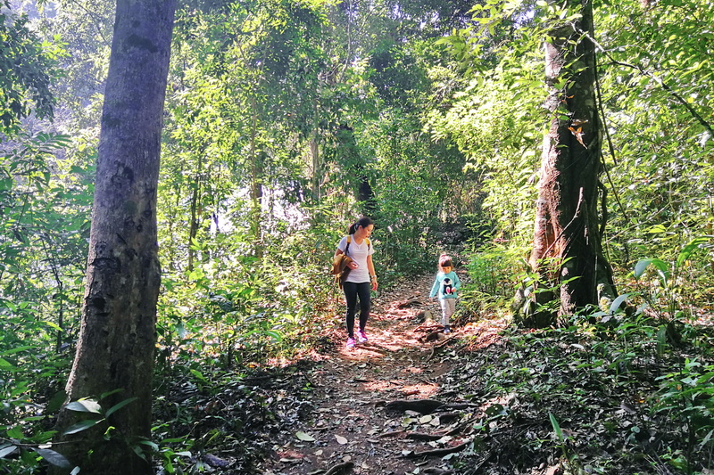 pha dok siew nature trail, pha dok sieo nature trail, pha dok siew trail, pha dok sieo trail
