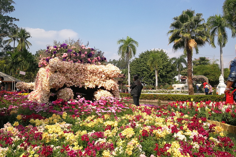 nong buakhad, nong buakhad park, garden attractions chiang mai, attractions garden in chiang mai, attractions park and garden in chiang mai, chiang mai nature park, public parks in chiang mai, floral gardens chiang mai, botanical gardens in chiang mai