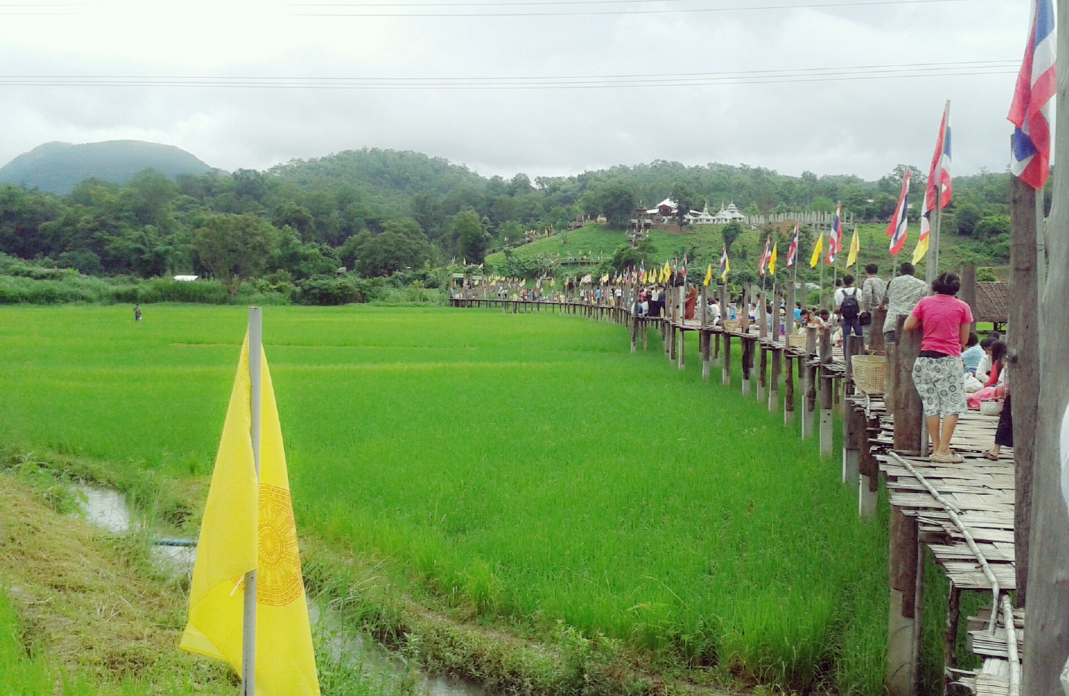 su tong pae bridge, su tong pae bamboo bridge, su tong pae, sutongpae bridge, sutongpae bamboo bridge