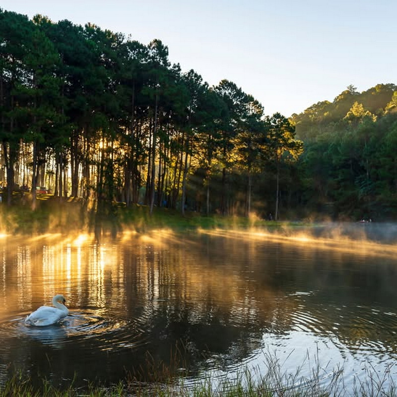 pang ung, pang oung, pang oong, pang ung mae hong son, pang oung mae hong son, pang oong mae hong son