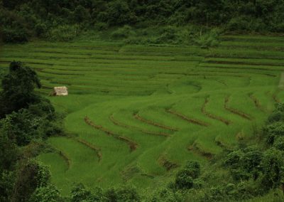 ban huai kung, baan huai kung, huai kung village, ban huay kung, baan hauy kung, huay kung village, ban huai kung village, ban huay kung village
