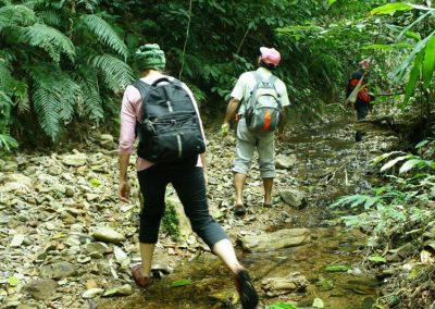 hiking at ban huay kaew bon, ban huay kaew bon day trek, ban huay kaew bon day hike, ban huay kaew bon trekking, ban huay kaew bon adventure trek, hiking at ban huay kaew bon, ban huay kaew bon trekking, ban huay kaew bon hike