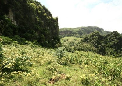 trekking at ban Jabo, ban Jabo day hike, ban Jabo trekking, ban Jabo adventure trek, hiking at ban Jabo, ban Jabo day trek, ban Jabo hike, ban Jabo trek