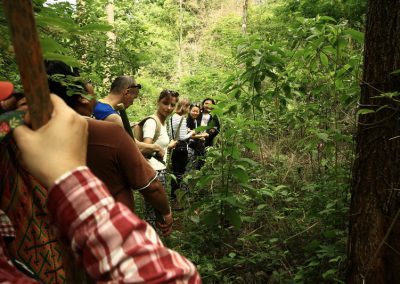 trekking at ban Jabo, ban Jabo day hike, ban Jabo trekking, ban Jabo adventure trek, hiking at ban Jabo, ban Jabo day trek, ban Jabo hike, ban Jabo trek