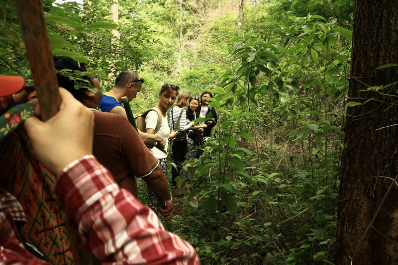 trekking at ban Jabo, ban Jabo day hike, ban Jabo trekking, ban Jabo adventure trek, hiking at ban Jabo, ban Jabo day trek, ban Jabo hike, ban Jabo trek trekking at ban Jabo, ban Jabo day hike, ban Jabo trekking, ban Jabo adventure trek, hiking at ban Jabo, ban Jabo day trek, ban Jabo hike, ban Jabo trek