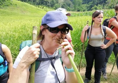 trekking at ban muang pam, ban muang pam day hike, ban muang pam trekking, ban muang pam adventure trek, hiking at ban muang pam, ban muang pam day trek, ban muang pam hike, ban muang pam trek