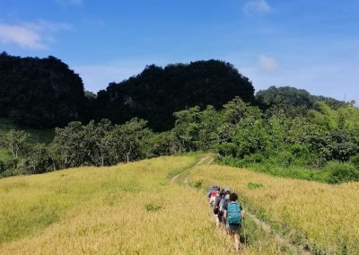 trekking at ban muang pam, ban muang pam day hike, ban muang pam trekking, ban muang pam adventure trek, hiking at ban muang pam, ban muang pam day trek, ban muang pam hike, ban muang pam trek