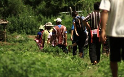 Trekking in Mae Hong Son06: Ban Pha Mon Day Trek