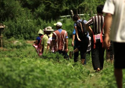 trekking at ban pha mon, ban pha mon day hike, ban pha mon trekking, ban pha mon adventure trek, hiking at ban pha mon, ban pha mon day trek, ban pha mon hike, ban pha mon trek