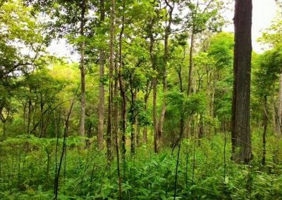 trekking at ban pha mon, ban pha mon day hike, ban pha mon trekking, ban pha mon adventure trek, hiking at ban pha mon, ban pha mon day trek, ban pha mon hike, ban pha mon trek