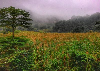 trekking at ban pha mon, ban pha mon day hike, ban pha mon trekking, ban pha mon adventure trek, hiking at ban pha mon, ban pha mon day trek, ban pha mon hike, ban pha mon trek