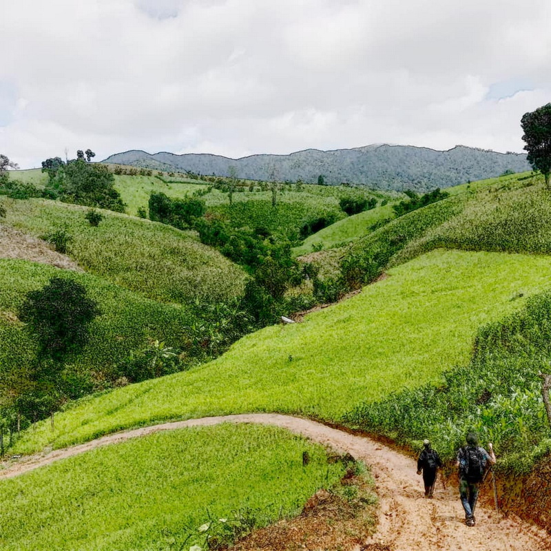 ban pha mon, ban pha mon village, pha mon village, ban pha mon mae hong son, ban phamon, ban pha mon mapha, ban huai pha mon, huai phamon, phamon village ban pha mon, ban pha mon village, pha mon village, ban pha mon mae hong son, ban phamon, ban pha mon mapha, ban huai pha mon, huai phamon, phamon village