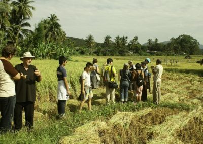 ban muang pon cultural day, ban muang pon heritage tour, muang pon village discovery, muang pon village life, ban muang pon traditions revealed, ban muang pon local wisdom, ban muang pon experience tour, ban muang pon cultural journey