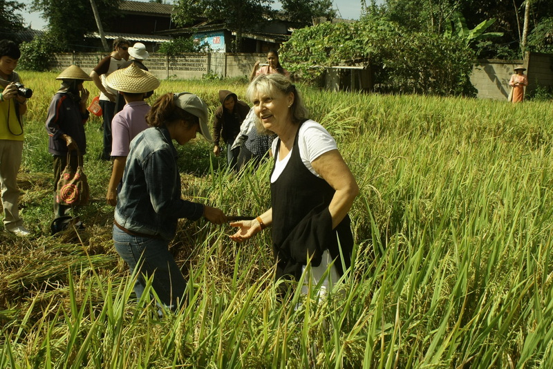 ban muang pon, ban muang pon village, muang pon village, ban muang pon mae hong son, ban muangpon, ban muang pon khun yuam, baan muang pon ban muang pon, ban muang pon village, muang pon village, ban muang pon mae hong son, ban muangpon, ban muang pon khun yuam, baan muang pon