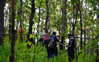 Trekking in Mae Hong Son16: 2 Days in Shan Village