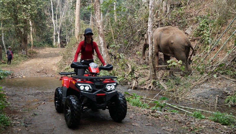 chiang mai atv, atv tour chiang mai, chiang mai atv adventure, chiang mai atv tour, atv chiang mai, atv adventure chiang mai, chiang mai off-road, chiang mai off road chiang mai atv, atv tour chiang mai, chiang mai atv adventure, chiang mai atv tour, atv chiang mai, atv adventure chiang mai, chiang mai off-road, chiang mai off road