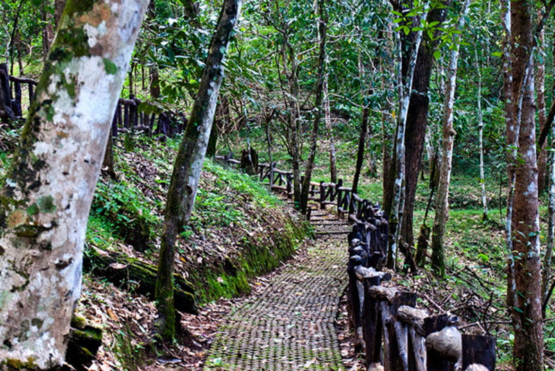 Namtok Mae Surin National Park